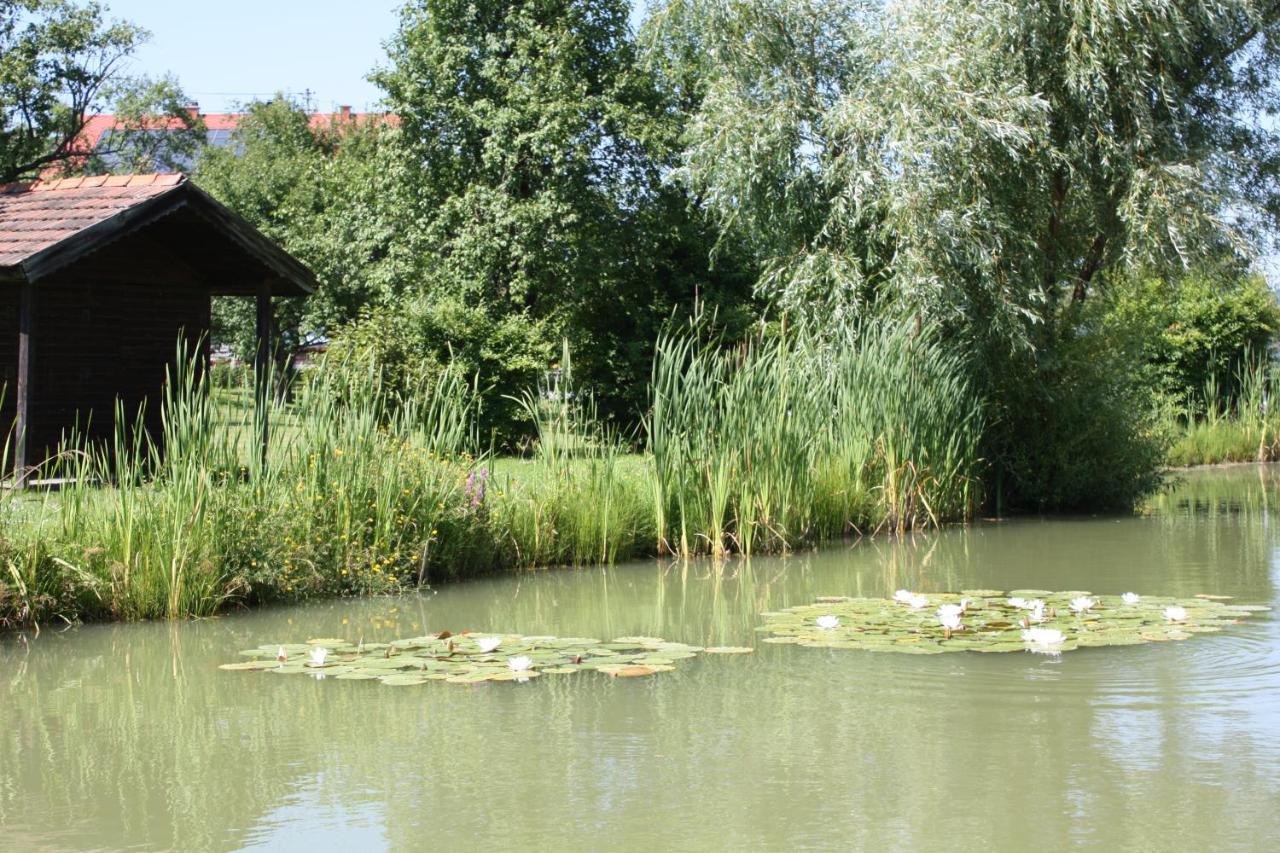 Gasthof Koller Mariasdorf المظهر الخارجي الصورة